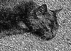 Skamielina