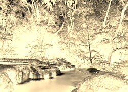 Sepia + Negatyw