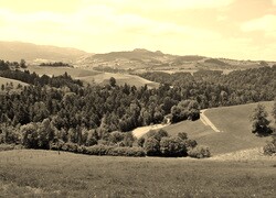 Szary + Sepia