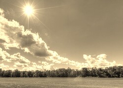 Szary + Sepia