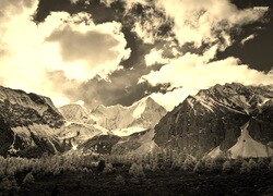 Szary + Sepia