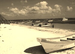 Sepia