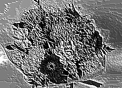 Skamielina