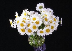 Oryginalny obrazek