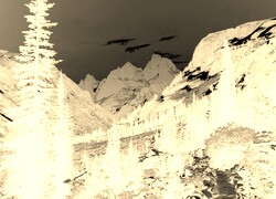 Sepia + Negatyw