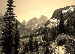 Sepia
