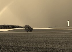 Szary + Sepia