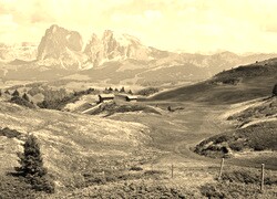 Szary + Sepia
