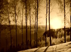 Sepia