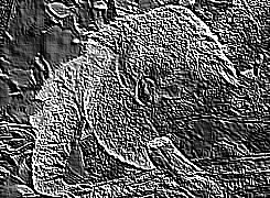 Skamielina