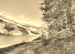 Szary + Sepia