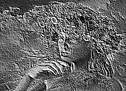 Skamielina