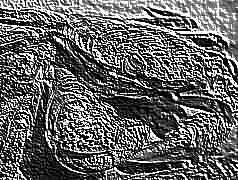 Skamielina