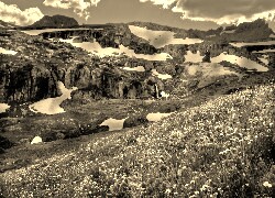 Szary + Sepia