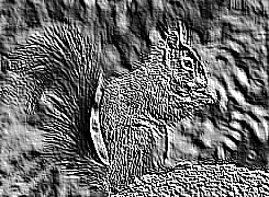 Skamielina