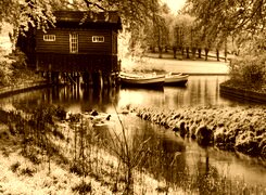 Sepia