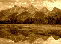 Sepia