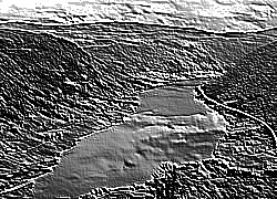 Skamielina