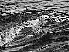 Skamielina