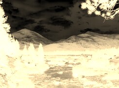 Sepia + Negatyw