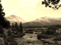 Szary + Sepia