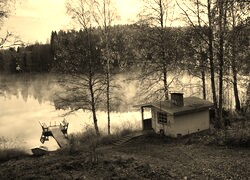 Sepia