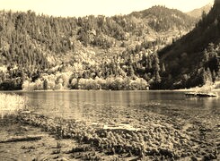 Szary + Sepia