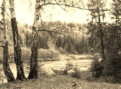 Sepia