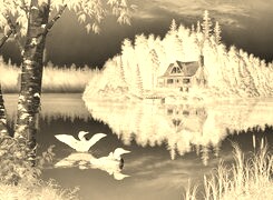 Sepia + Negatyw
