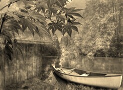 Sepia