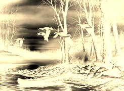 Sepia + Negatyw