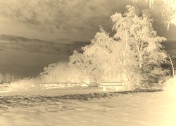 Sepia + Negatyw