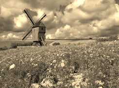 Sepia