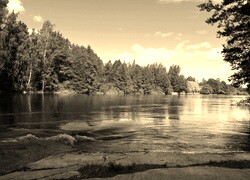 Sepia