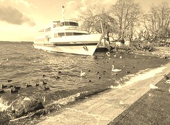 Szary + Sepia