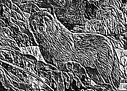 Skamielina
