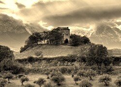 Szary + Sepia