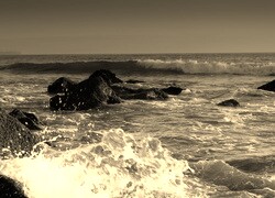 Sepia