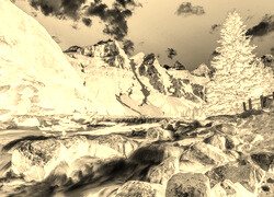 Sepia + Negatyw