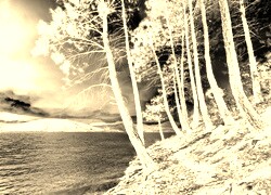Sepia + Negatyw