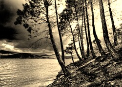 Szary + Sepia