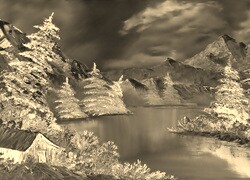 Sepia + Negatyw