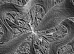 Skamielina