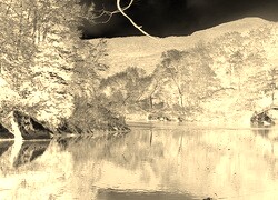 Sepia + Negatyw