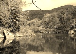 Szary + Sepia