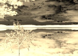 Sepia + Negatyw