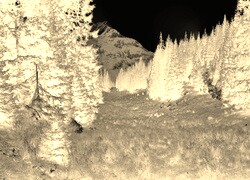 Sepia + Negatyw