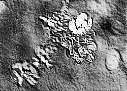 Skamielina