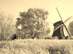 Sepia