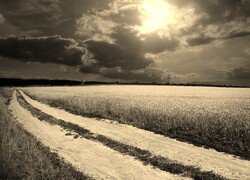 Sepia